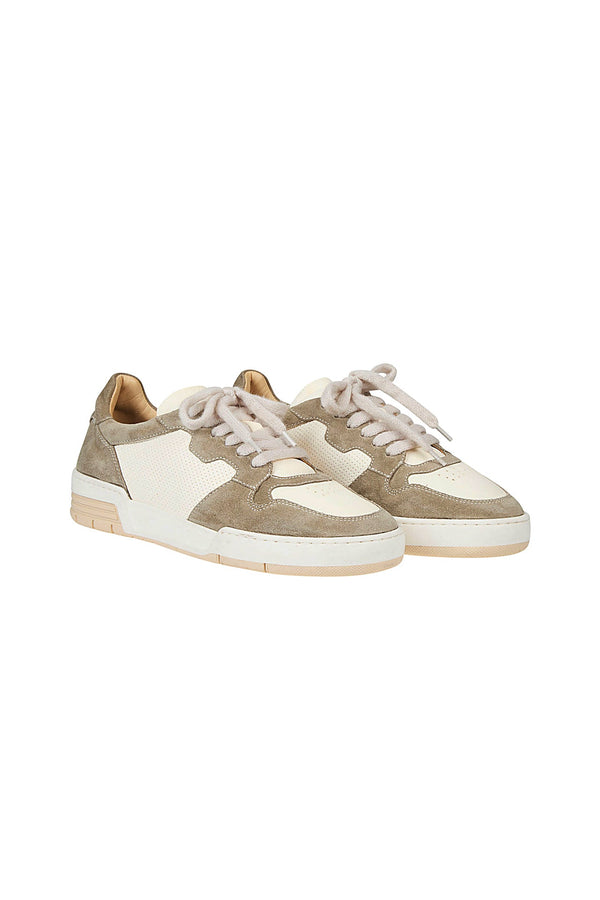 LOW SNEAKERS SHOE